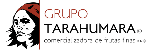 Logo Grupo Tarahumara